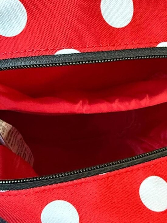 Disneyland Minnie Mouse D Bag Collection Red Polka Dot Small Backpack main image 4
